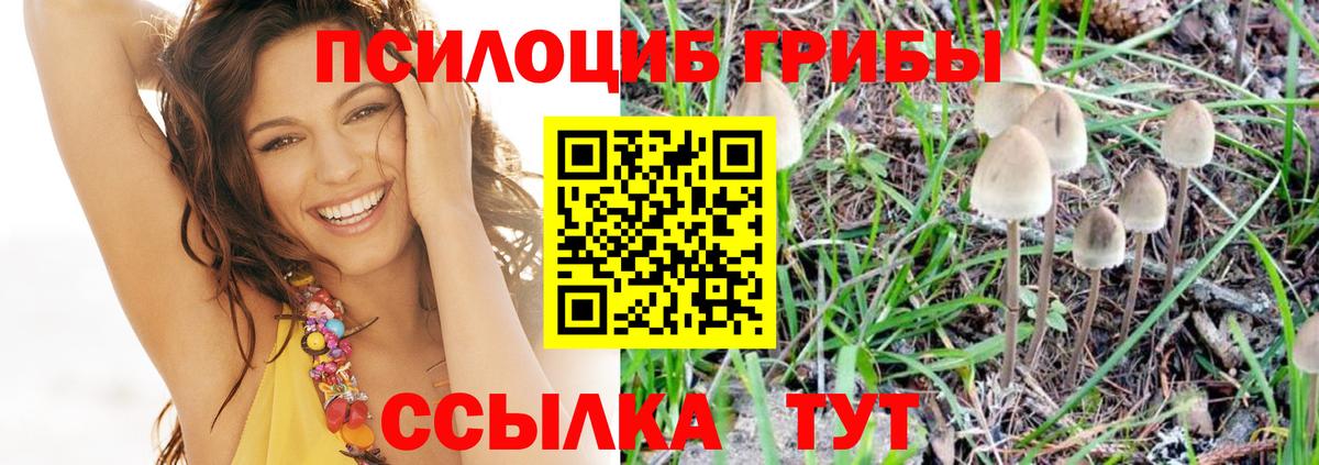 Наро-Фоминск  Галлюциногенные грибы GOLDEN TEACHER  Вход с VPN  Псилоцибиновые грибы Magic Shrooms 